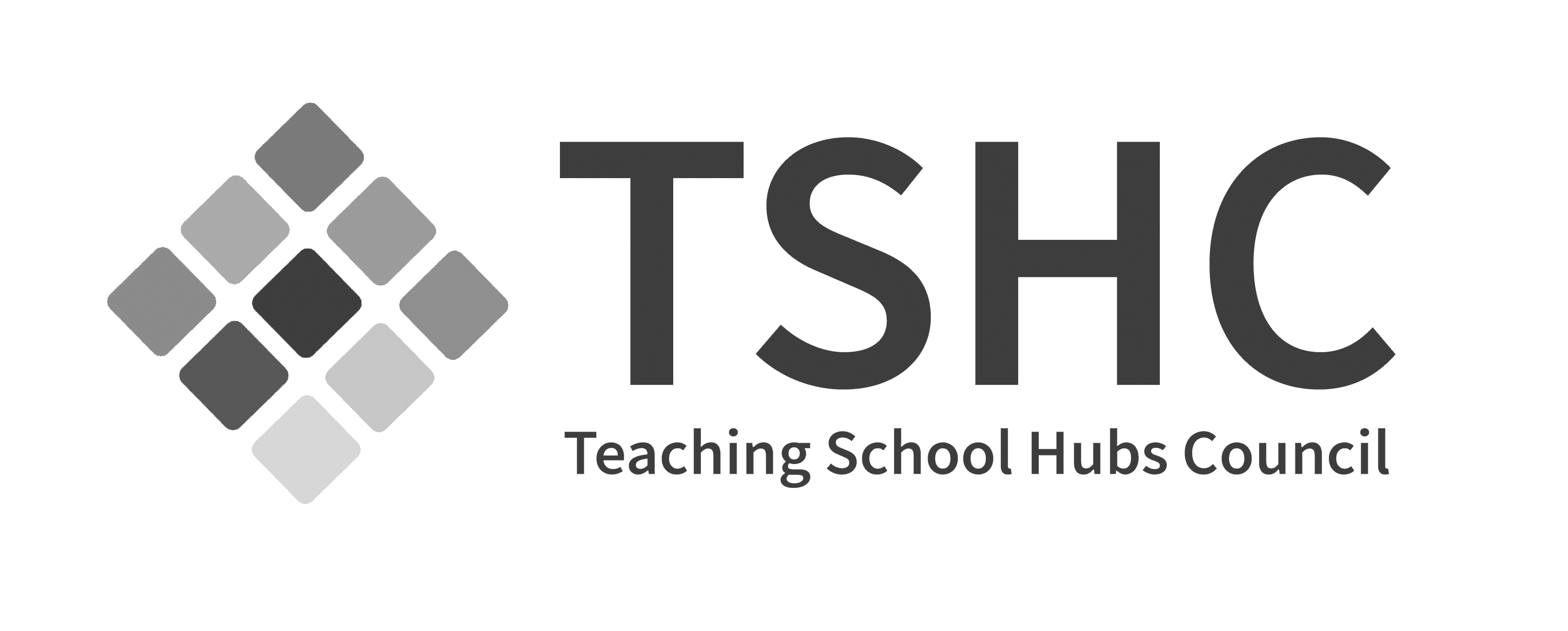 Teaching Schools Council