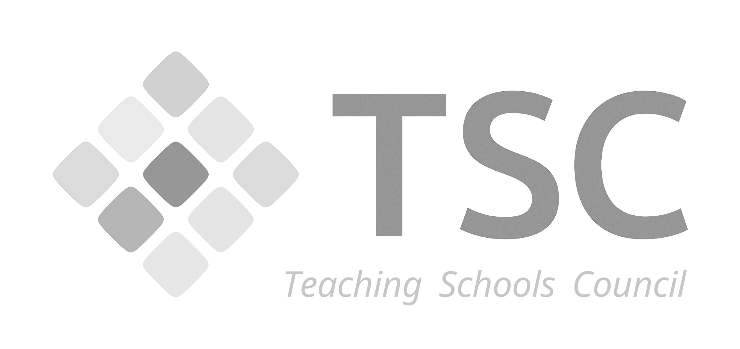 Teaching Schools Council